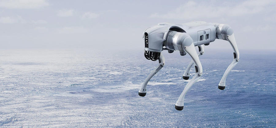 Top scientific research talents and cutting-edge scientific research achievements